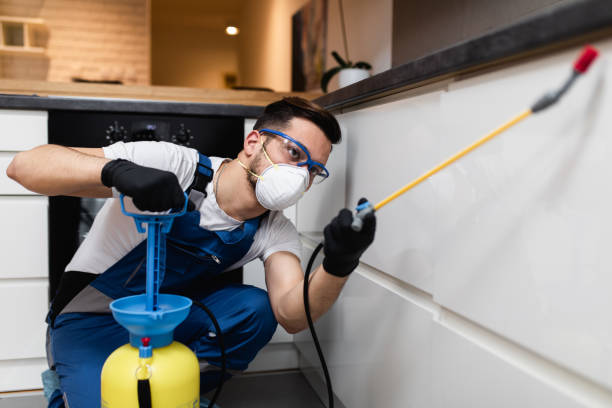 Best Affordable Pest Control Services  in West, TX