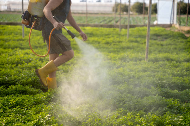 Best Wildlife Control Services  in West, TX