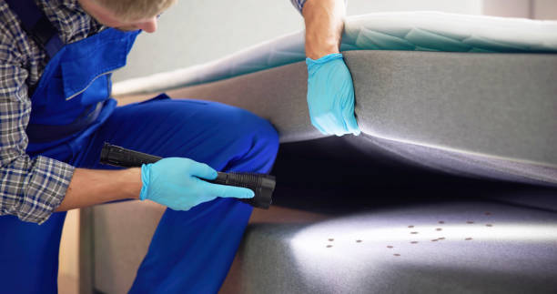 Trusted West, TX Pest Control Experts