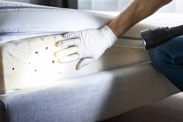 Pest Prevention Services in West, TX