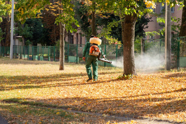 Best Pest Control Treatment  in West, TX