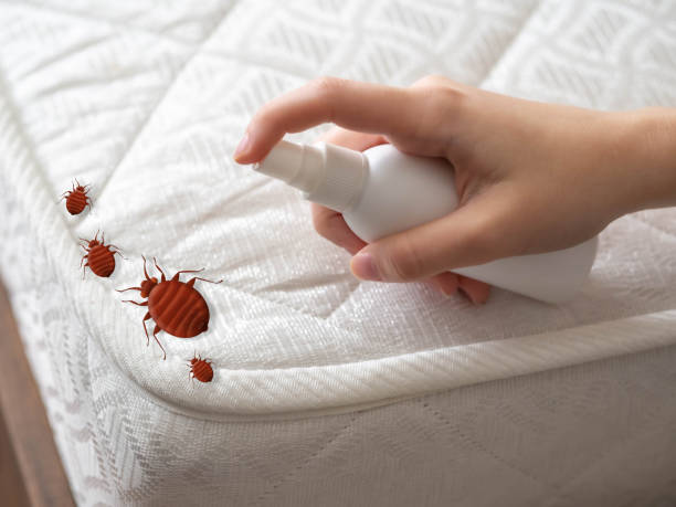 Best Cockroach Control Services  in West, TX