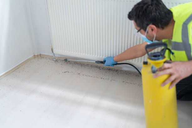 Best Pest Removal Services  in West, TX